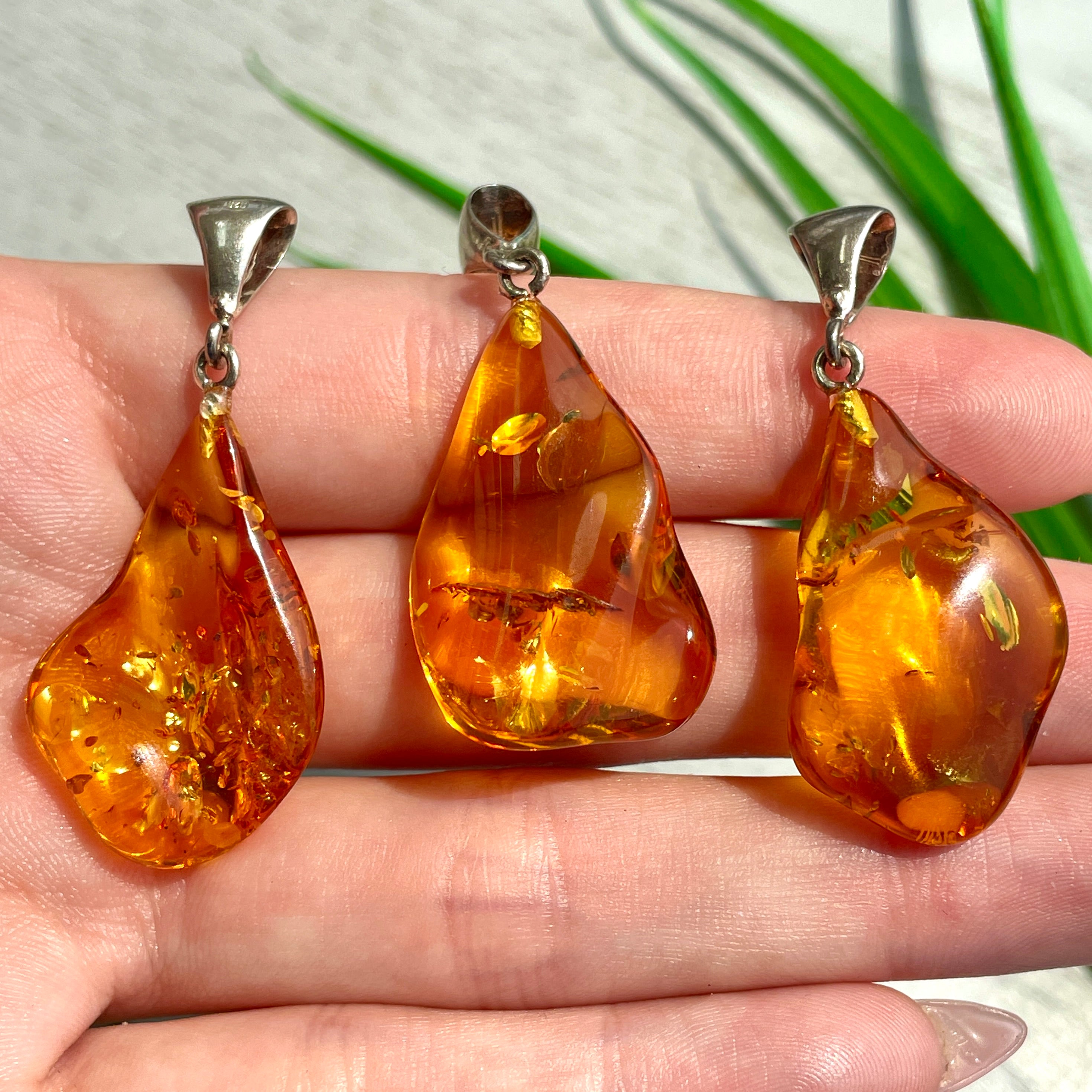 Amber Pendant - Style B Amber Pendant - Style B